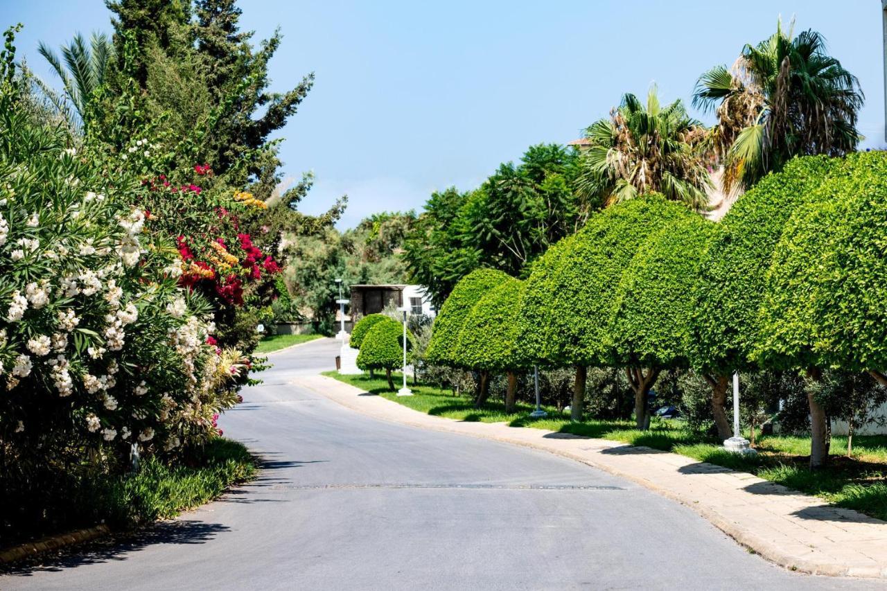 Vuni Palace Luxury Resort & Beach & Casino Kyrenia  Exteriör bild